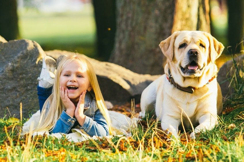 labrador dla dzieci-min.jpg