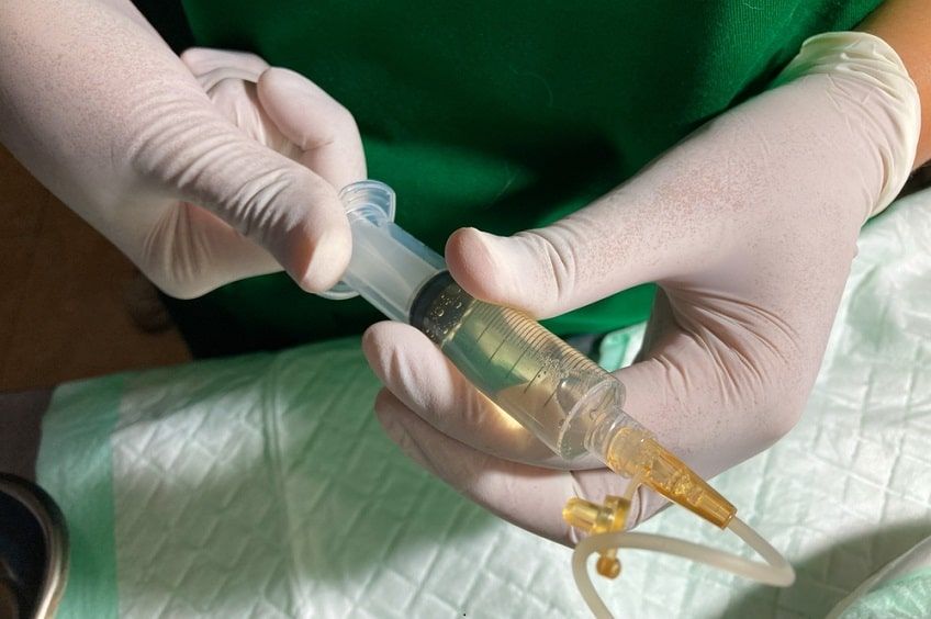 leczenie wodobrzusza u psa(1)-min.jpg