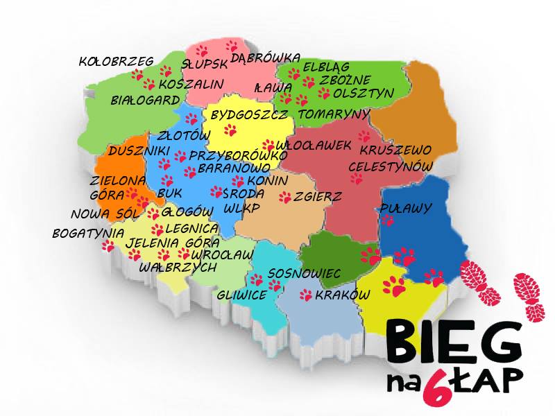 mapa_biegu_na_szesc_lap.jpg