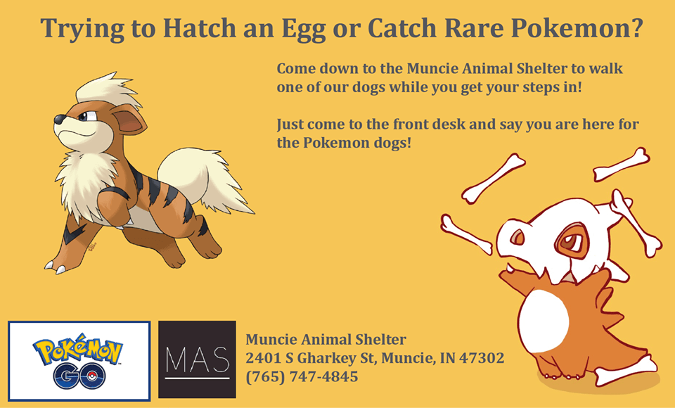 poke_13406708_1050999401649145_4922578088292750458_n.png