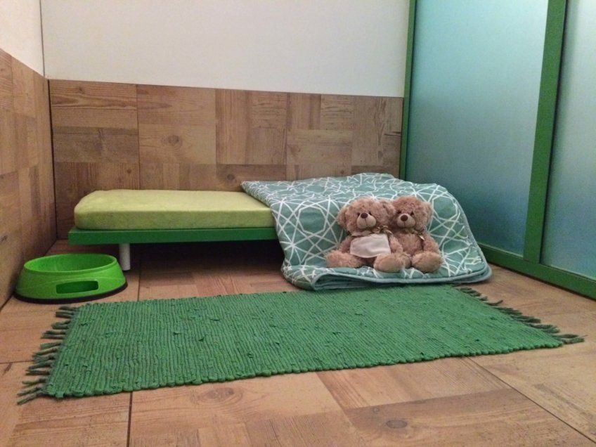 Pokój w Psoterii