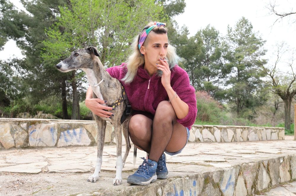 ryzyko udaru u psa-min.jpg