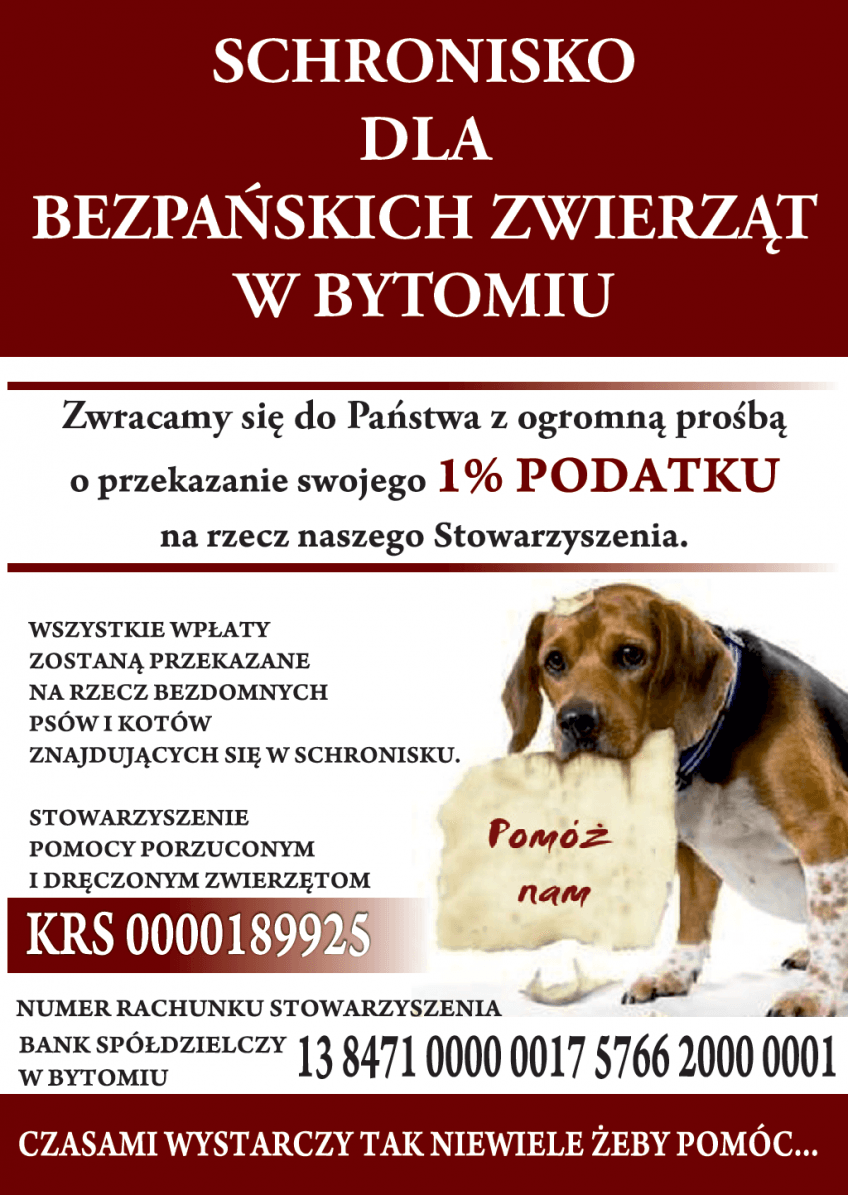 Schronisko w Bytomiu