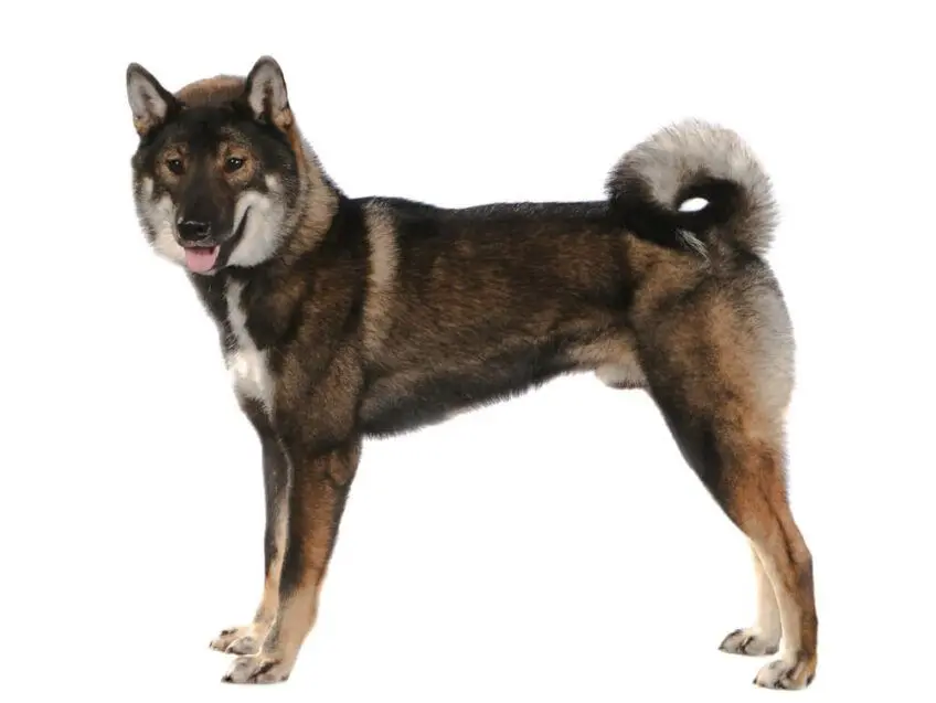 shikoku