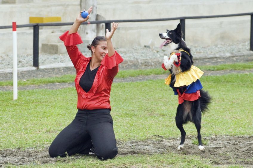 Dog dancing