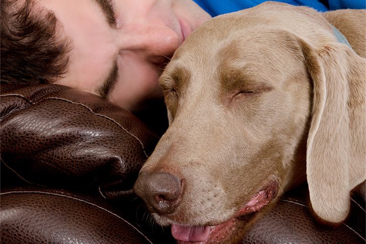 shutterstock_218770051.jpg