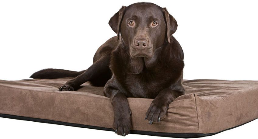 posłanie memory foam