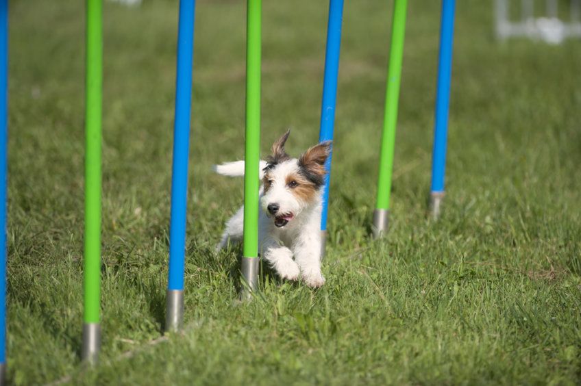 slalom