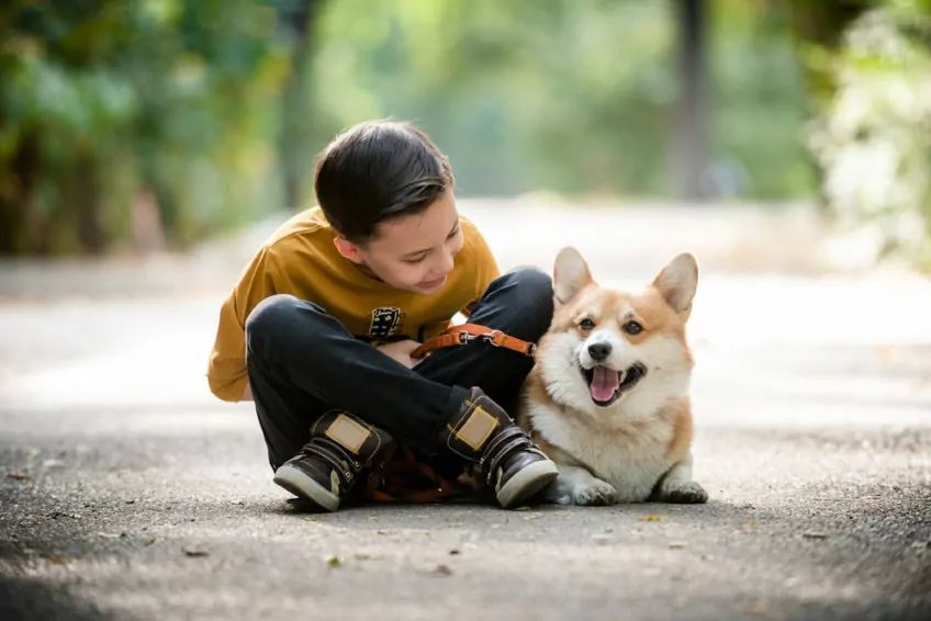 Chłopiec z psem rasy welsh corgi
