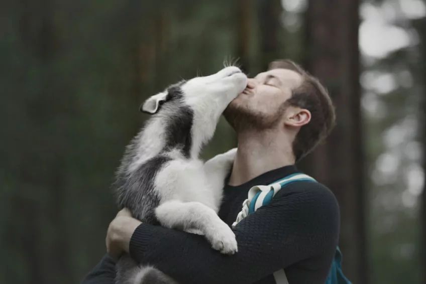 Pan z pieskiem rasy husky