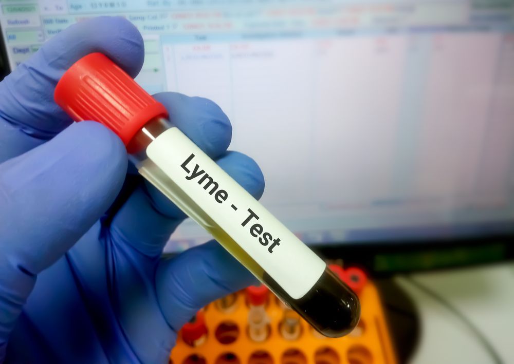 test na boreliozę u psa