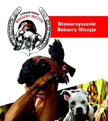 Stowarzyszenie Boksery Niczyje