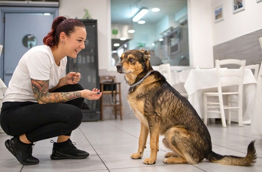 wielkanoc z psem 3-min.jpg