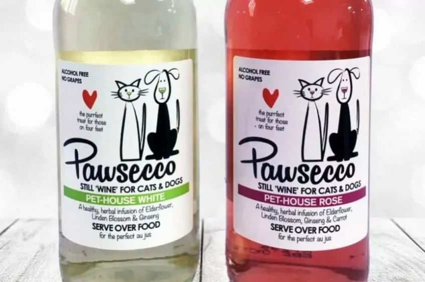 Pawsecoo dla psa i kota