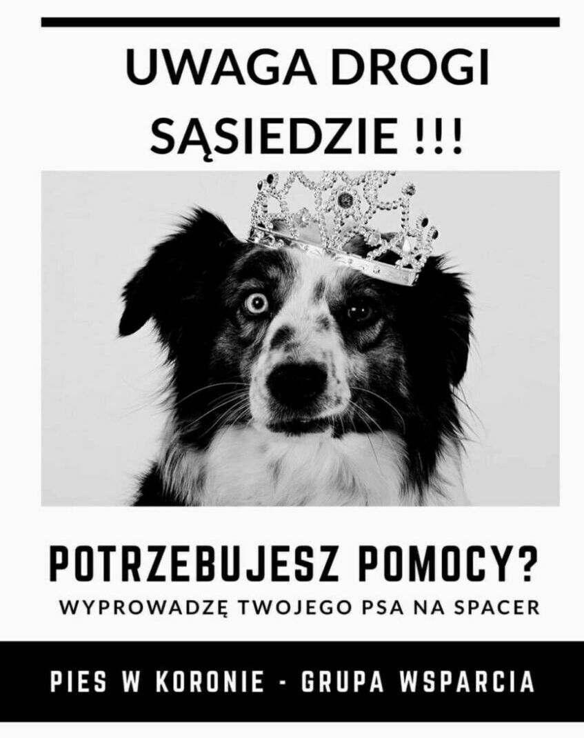 Pies w Koronie - grupa wsparcia