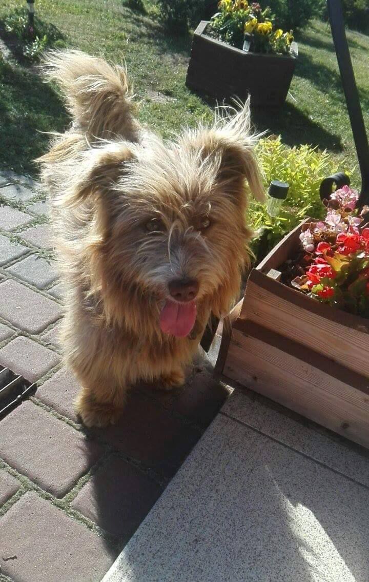 Karmel