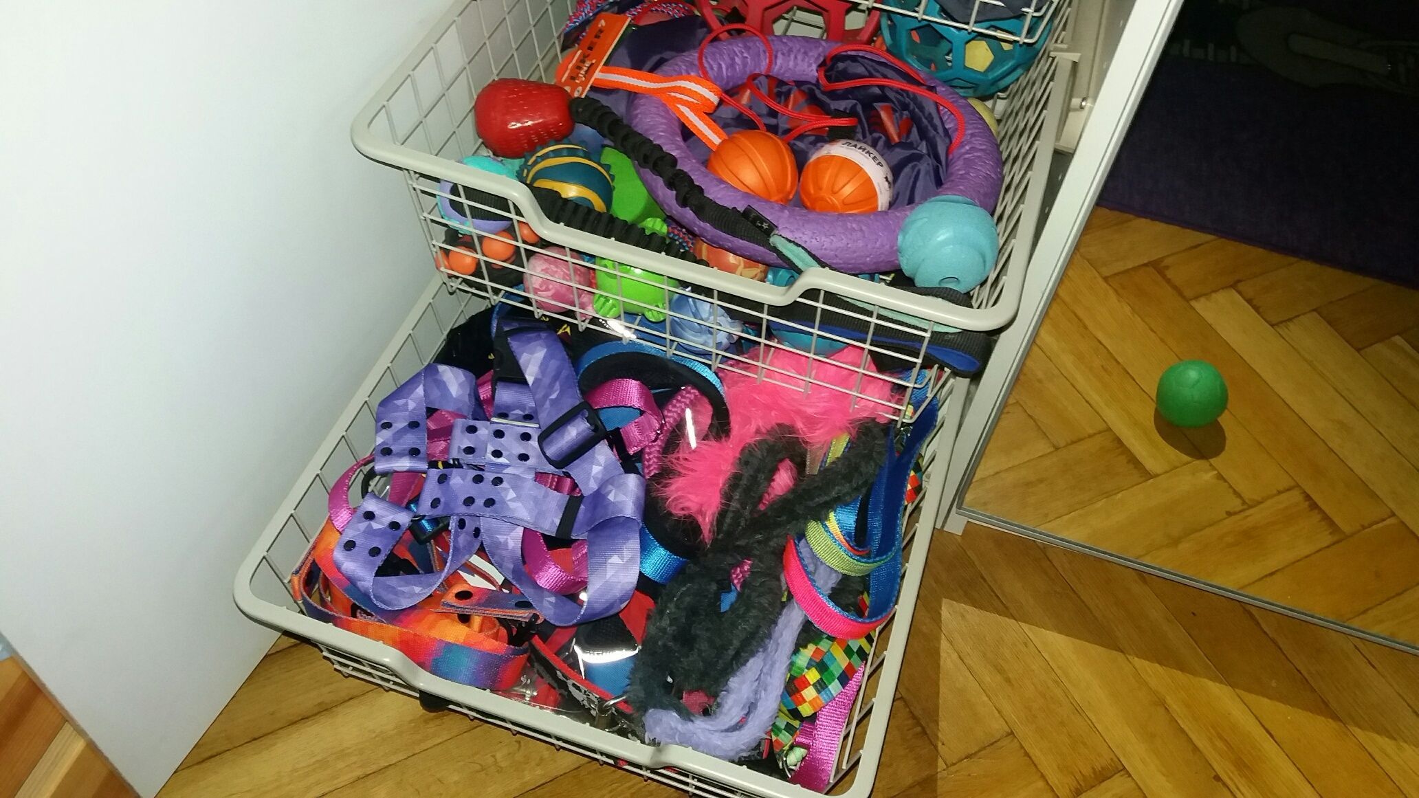 Przedświąteczne porządki w psiej szafie