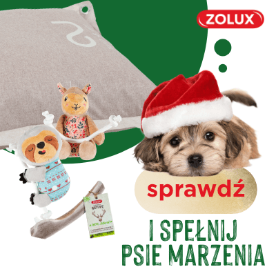 baner zolux