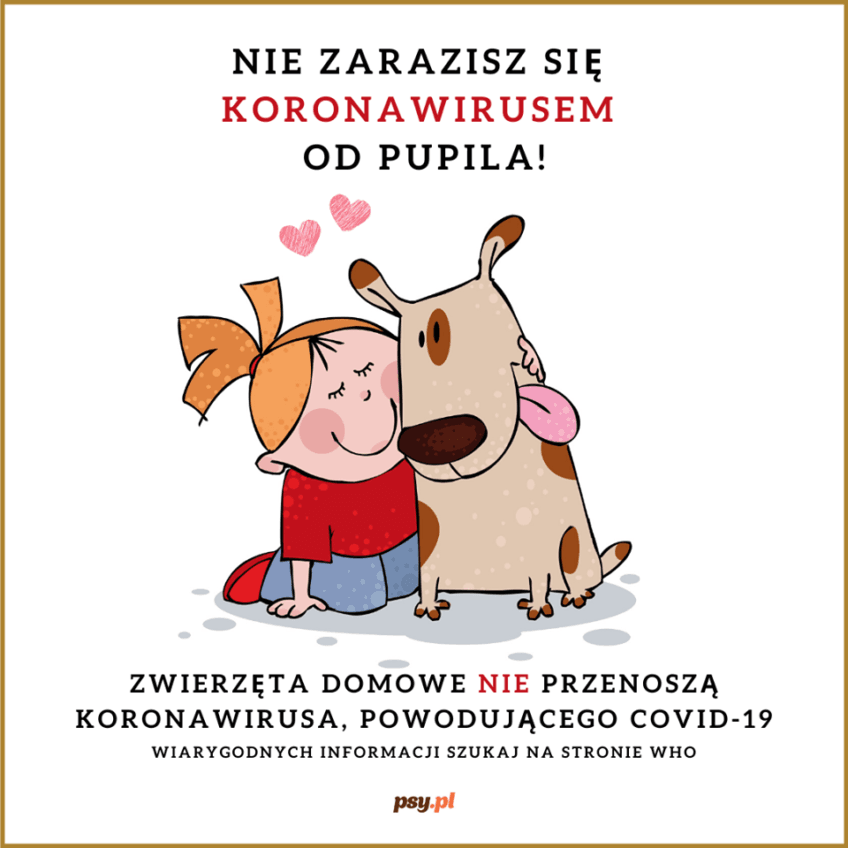 spacer z psem podczas kwarantanny