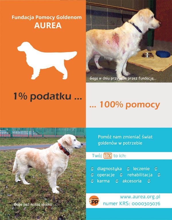 Fundacja AUREA