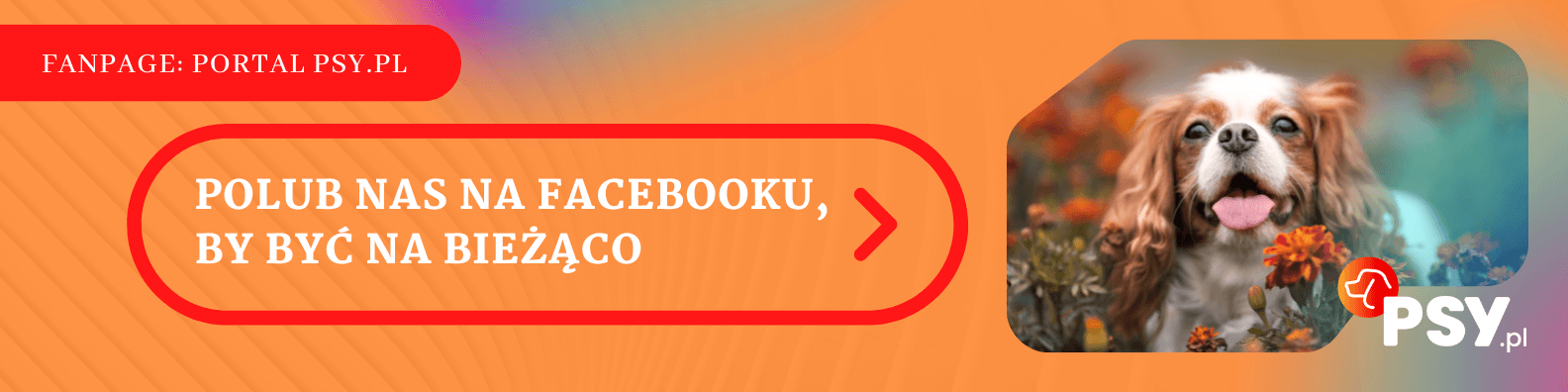 Baner Fanpage portal psy.pl Faceebok