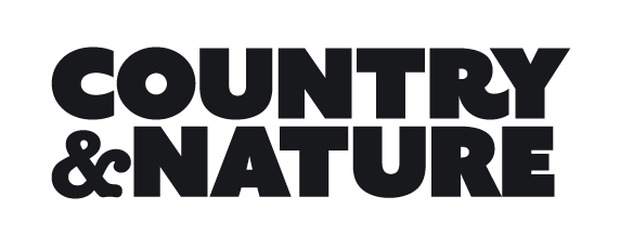 CN_logo.webp