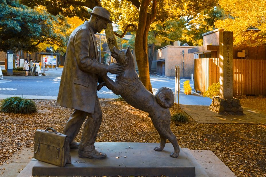 Hachiko słynne pomniki psów