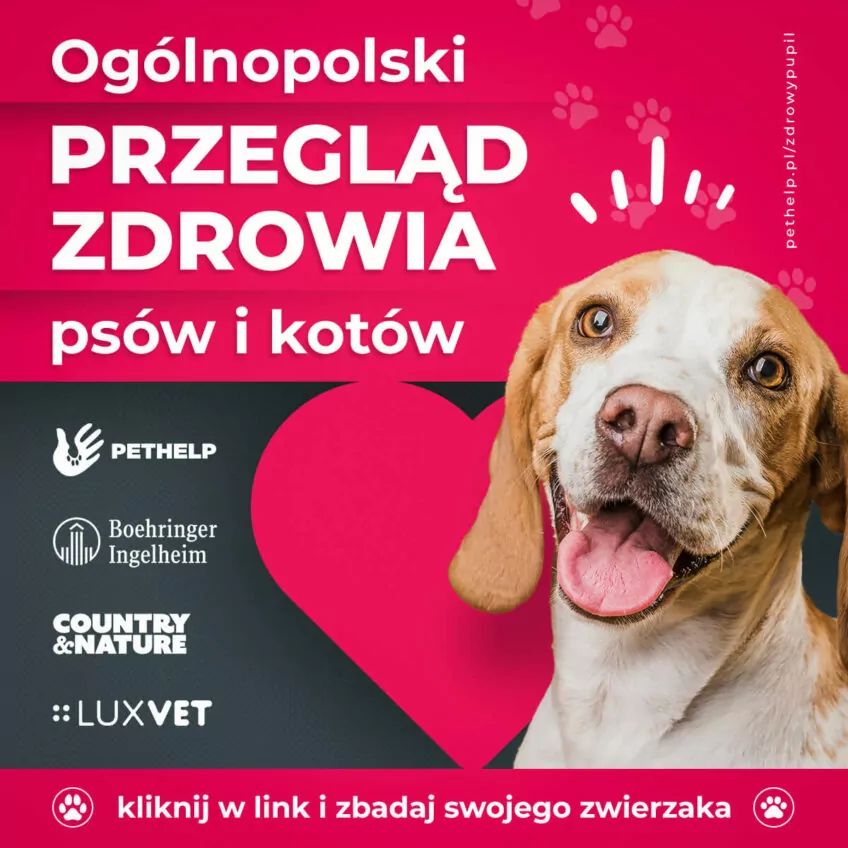 Ogólnopolski Przegląd Zdrowia Psów i Kotów