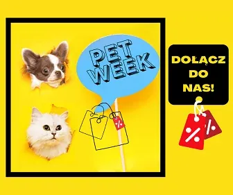 baner dołącz do newslettera