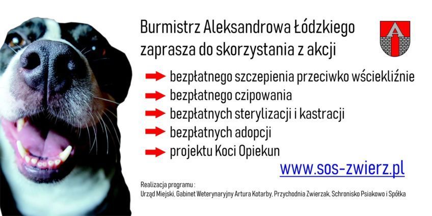 obowiązek czipowania psów