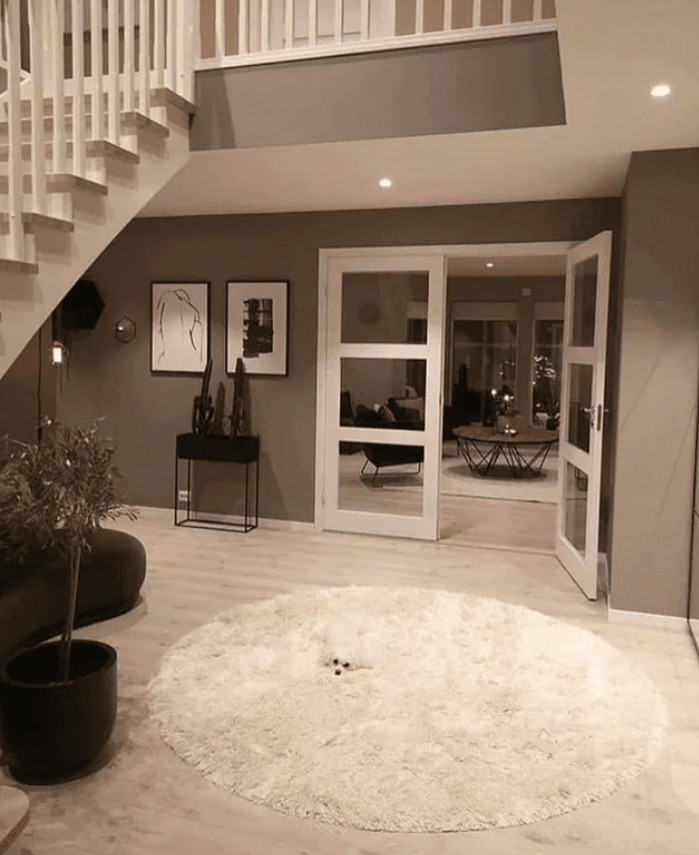 pies na białym dywanie