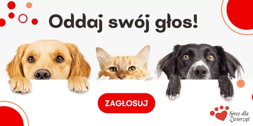serce-dla-zwierząt-2022-głosowanie.jpg.png.webp