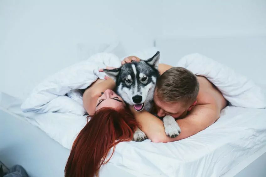 Para w łóżku z psem