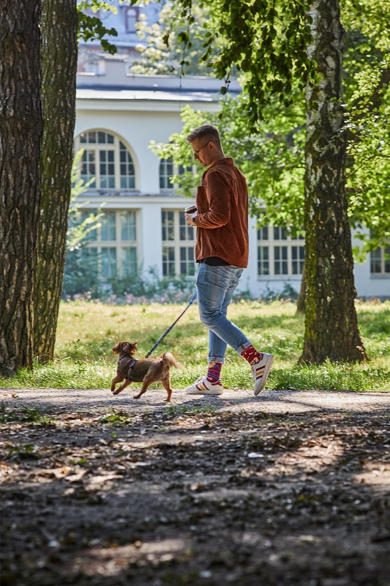 spacer z psem Many Walks